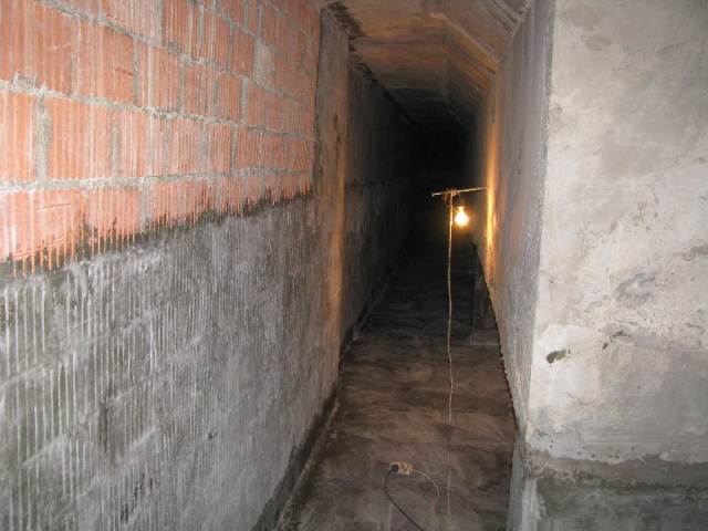 image19.jpeg