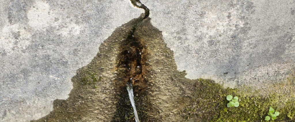 image18.jpeg