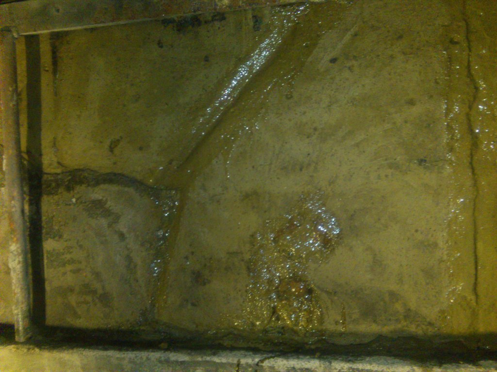 image34.jpeg