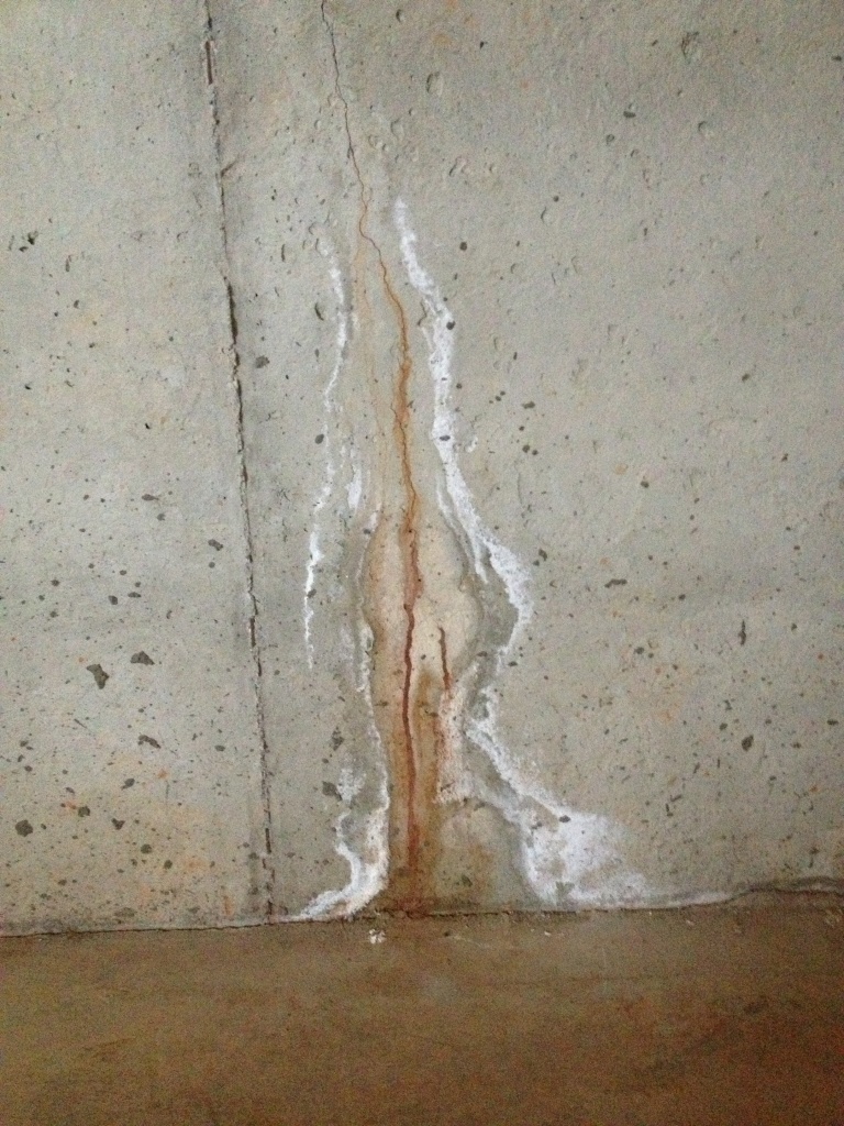 image13.jpeg
